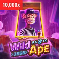 Chính Sách Cookie của tobet88 casino