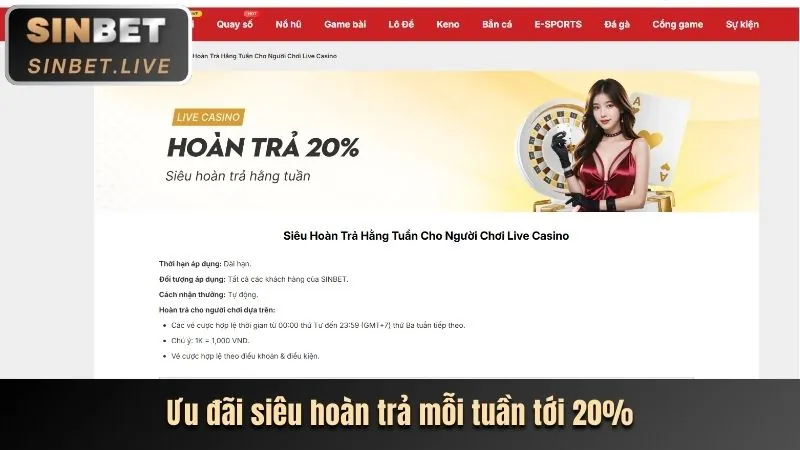 Khuyến mãi VIP và sự kiện đặc biệt